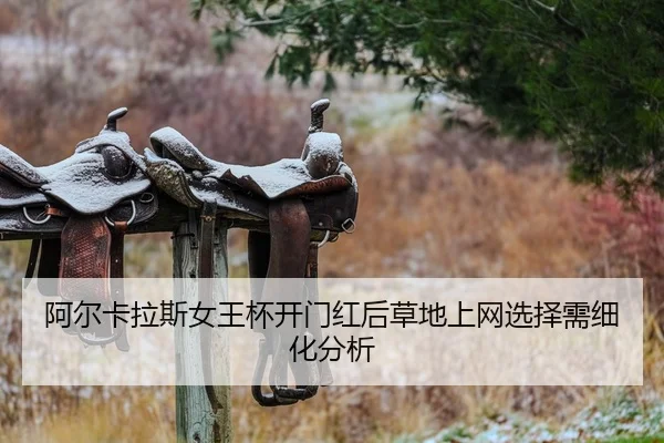 a-er-ka-la-si-nv-wang-bei-kai-men-hong-hou-cao-di-shang-wang-xuan-ze-xu-xi-hua-fen-xi-2-916.jpg