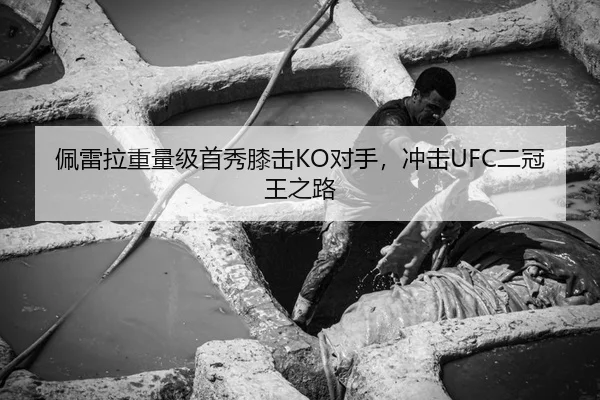 佩雷拉重量级首秀膝击KO对手，冲击UFC二冠王之路