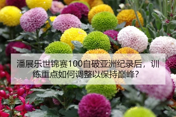 潘展乐世锦赛100自破亚洲纪录后，训练重点如何调整以保持巅峰？