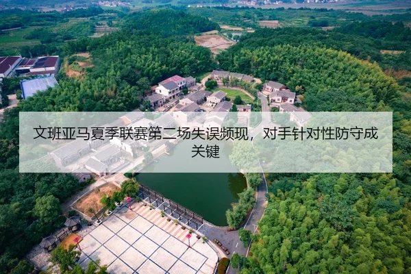 文班亚马夏季联赛第二场失误频现，对手针对性防守成关键