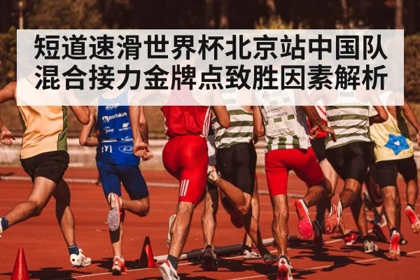 短道速滑世界杯北京站中国队混合接力金牌点致胜因素解析